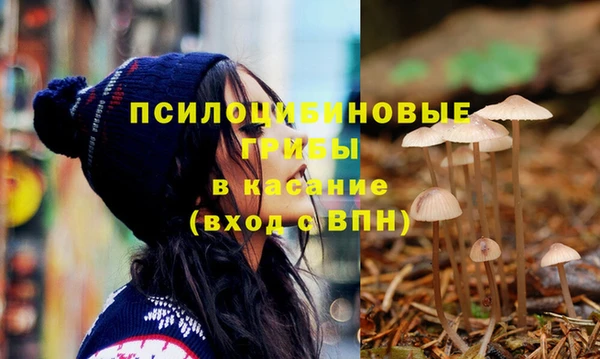 MDMA Верхний Тагил